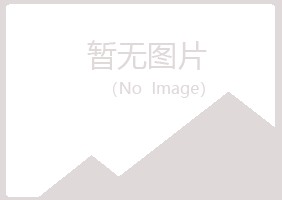 青岛李沧盼夏咨询有限公司